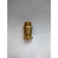 Cable Gland Industrial Non Armoured A-2 20 (S L) 