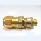Cable Gland CMP Brass E1W M20 1