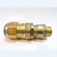 Cable Gland CMP Brass E1W M20
